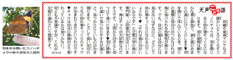 営業 朝日小学生新聞 天声こども語 ecousarecycling.com